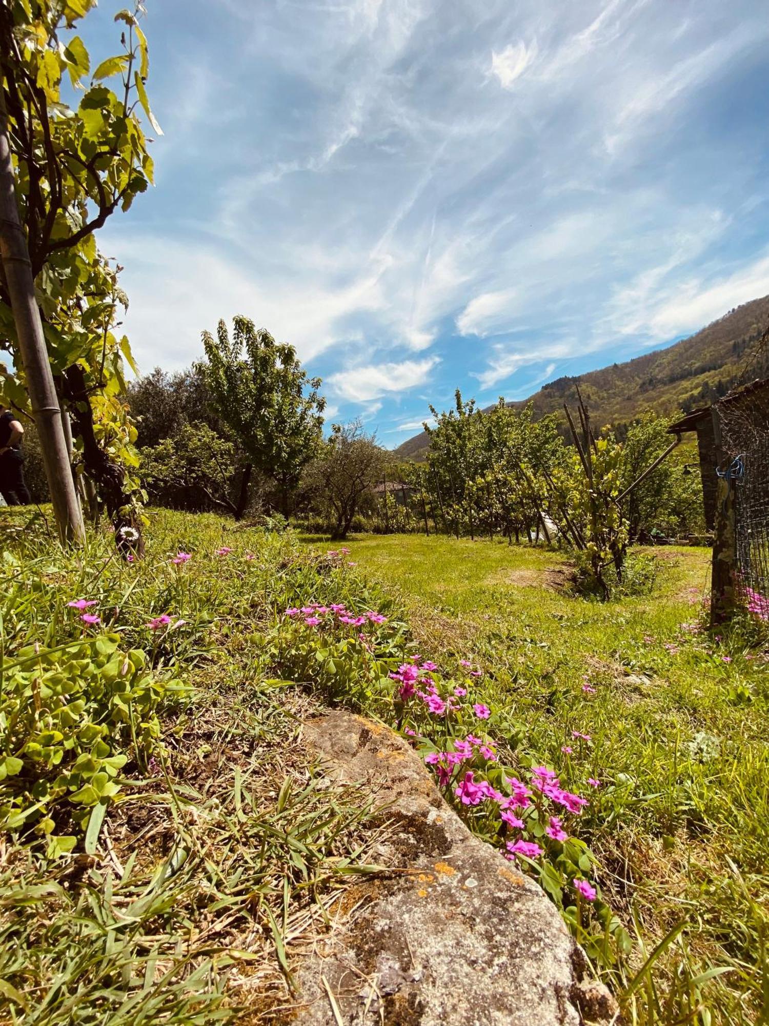 La Vista Dal Civico 26 Villa Bagni di Lucca Eksteriør billede